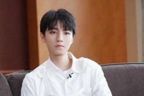 娱乐圈吃瓜王俊凯是谁啊